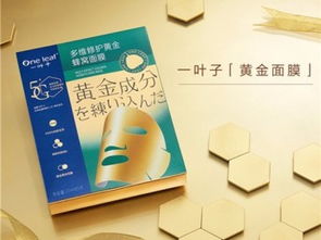一葉子面膜代理政策、產(chǎn)品價(jià)格及重慶市場(chǎng)廣告策略全解析